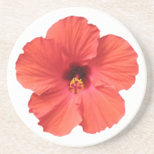 Portas copos vermelhas do hibiscus porta-copos
