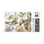 Porte postal nupcial do buquê dos rosas brancos do selo