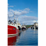 Porto ocupado, Eyemoutn, Berwickshire, Scotland Fotoescultura