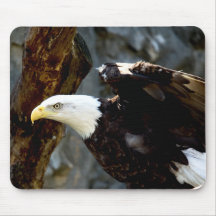 Pose Mousepad da águia americana