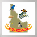 Poster 30X30 de Idaho "