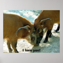 Poster animal do humor. Eu te amo!