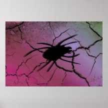 POster Araña