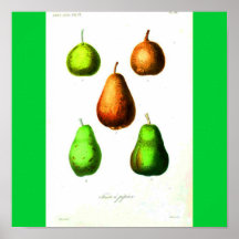 Poster-Botanicals-Peras