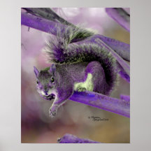 Poster cinzento roxo bonito do esquilo