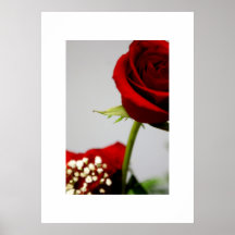 Poster cor-de-rosa do solteiro