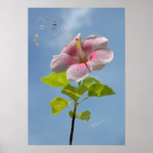 Poster da borboleta da flor do hibiscus