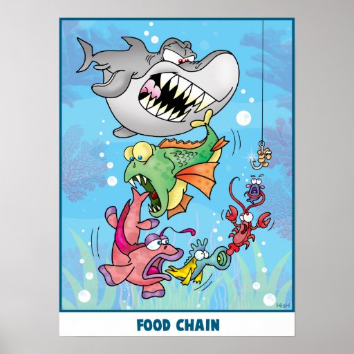 Poster da cadeia alimentar