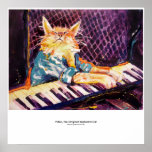 poster da cor do gato do teclado