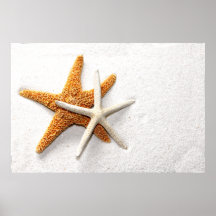 Poster da estrela do mar