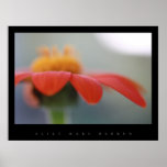 POSTER DA FLOR