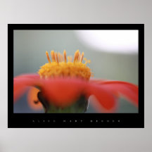 Poster da flor do cupcake