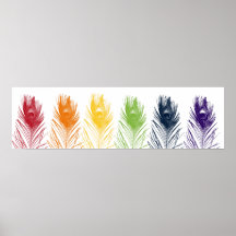 Poster da pena do pavão do arco-íris