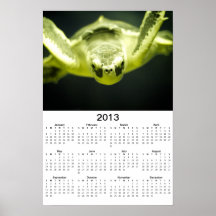 Poster do calendário da tartaruga de mar 2013