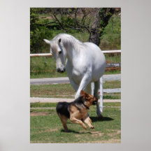 Poster do JOGO do CAVALO & do CÃO