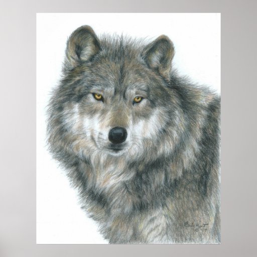 "Poster do lobo dos olhos assombrados" pelo artist