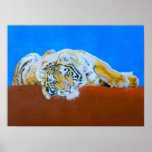 Poster do tigre