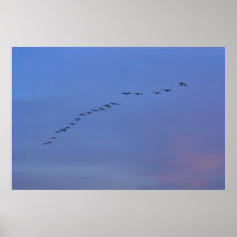 Poster do vôo da manhã