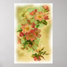 Poster floral do vintage