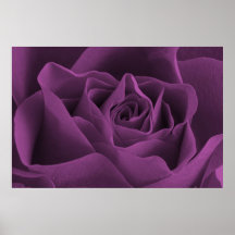 Poster gótico do rosa do roxo