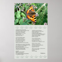 Poster inspirador dos Desiderata da borboleta