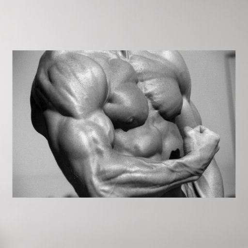 Poster muscular da caixa