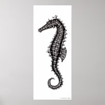 Poster preto e branco da arte do desenho do cavalo