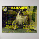 Poster SALVADO marca de dois buldogues