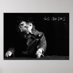 Poster velho do cão de mar