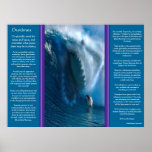 Posters da cara do tubarão dos Desiderata