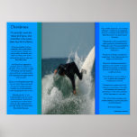 Posters do mergulho da cara dos DESIDERATA