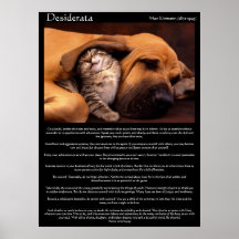 Posters novos 2 do amor dos Desiderata