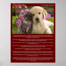 Posters novos da luta do amor dos Desiderata