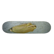 Pouco animal do sapo verde skateboard