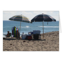 Praia de Florida Cartoes