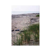 praia de michigan impressão de canvas envolvidas