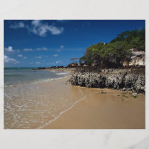 Praia de Ponta Negra, natal, Brasil Modelo De Panfletos