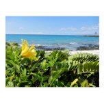 Praia havaiana cartao postal