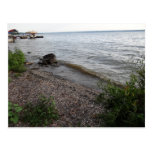 Praia rochosa do lago Cayuga Cartão Postal