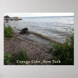 Praia rochosa do lago Cayuga Pôsteres