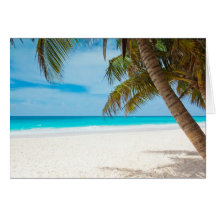 Praia tropical do paraíso cartões