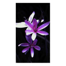 prazer do roxo modelos cartoes de visita