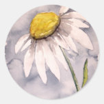 Presente da arte da pintura da flor da margarida adesivos redondos