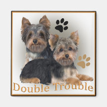 Presentes dobro do problema do yorkshire terrier imãs