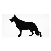 Preto do cão de pastor alemão cartões de fotografias