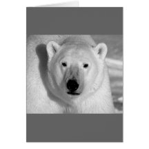 Preto & urso polar do Whit Cartão