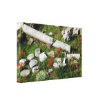 Primavera em Roma Impressão De Canvas Esticadas