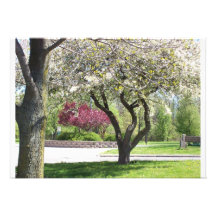 Primavera no convite da flor