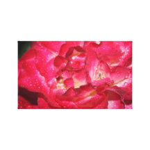 Primavera Rosie Impressão De Canvas Esticadas