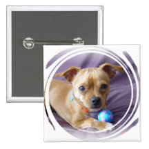 Produtos da chihuahua botons